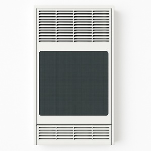 Wall Furnaces